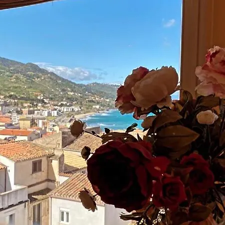 B&B Il Pino E La Rosa